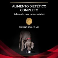 Purina Pro Plan DM Diabetes Veterinary Diets -Mascota Suministros Ventas puppvdddppvdm22ksizles 220629 1 1656985195811 1