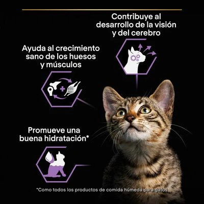 PURINA PRO PLAN Kitten Healthy Start 24 X 85 G En Latas 4 PURINA PRO PLAN Kitten Healthy Start 24 X 85 G En Latas - Imagen 2