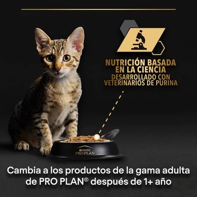 PURINA PRO PLAN Kitten Healthy Start 24 X 85 G En Latas 8 PURINA PRO PLAN Kitten Healthy Start 24 X 85 G En Latas - Imagen 6