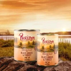 Purizon Adult 12 X 800 G Comida Húmeda Sin Cereales Para Perros -Mascota Suministros Ventas purizon idcard wet blackangus 1000x1000 6