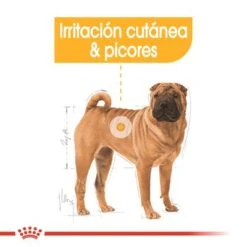 Royal Canin Medium Dermacomfort -Mascota Suministros Ventas rc ccn dermamed cv eretailkit 2 es es 6