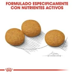 Royal Canin Medium Dermacomfort -Mascota Suministros Ventas rc ccn dermamed cv eretailkit 5 es es 8