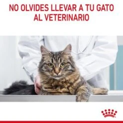 Royal Canin Appetite Control Care En Gelatina -Mascota Suministros Ventas rc fcn appetitecontrolpouchjelly 13 es es 1