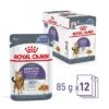 Royal Canin Appetite Control Care En Gelatina -Mascota Suministros Ventas rc fcn appetitecontrolpouchjelly 4 es es 9