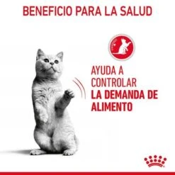 Royal Canin Appetite Control Care En Gelatina -Mascota Suministros Ventas rc fcn appetitecontrolpouchjelly 6 es es 5