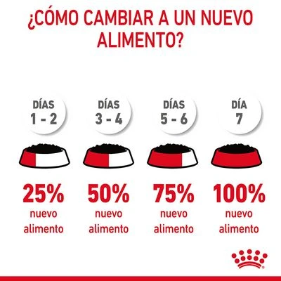 Royal Canin Urinary Care En Salsa 11 Royal Canin Urinary Care En Salsa - Imagen 9
