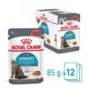 Royal Canin Urinary Care En Salsa 1 Royal Canin Urinary Care En Salsa -Mascota Suministros Ventas rc fcn urinarypouchgravy 4 es es 5