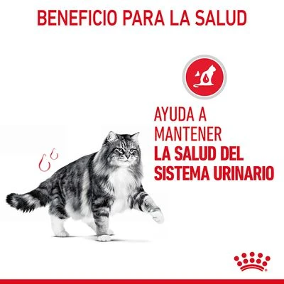 Royal Canin Urinary Care En Salsa 5 Royal Canin Urinary Care En Salsa - Imagen 3