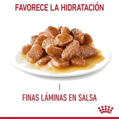 Royal Canin Urinary Care En Salsa 6 Royal Canin Urinary Care En Salsa - Imagen 4