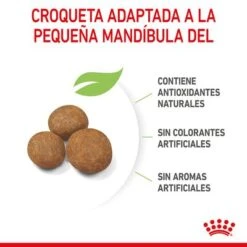 Royal Canin Giant Puppy -Mascota Suministros Ventas rc spt dry giantpuppy cv 4 es es 8