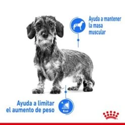 Royal Canin Mini Light Weight Care -Mascota Suministros Ventas rc spt dry lightweightmini cv 1 es es 1 6