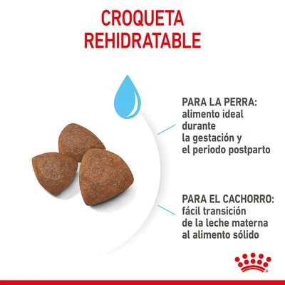 Royal Canin Medium Starter 8 Royal Canin Medium Starter - Imagen 6