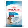Royal Canin Medium Starter 1 Royal Canin Medium Starter -Mascota Suministros Ventas rc spt dry mediumstart mv 2 es es 9