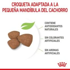 Royal Canin Mini Puppy / Junior -Mascota Suministros Ventas rc spt dry minipuppy cv 4 es es 1