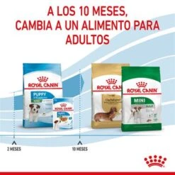 Royal Canin Mini Puppy / Junior -Mascota Suministros Ventas rc spt dry minipuppy cv 5 es es 3
