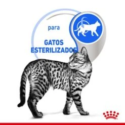 Royal Canin Indoor Sterilised Paté -Mascota Suministros Ventas rc spt wet indsterloaf cv 2 es es 5