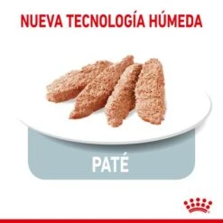 Royal Canin Indoor Sterilised Paté -Mascota Suministros Ventas rc spt wet indsterloaf cv 3 es es 2
