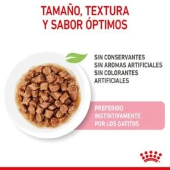 Royal Canin Sterilised Kitten En Salsa -Mascota Suministros Ventas rc spt wet kittenster cig cv 2 es es 4