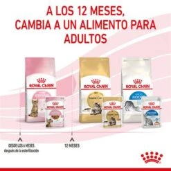 Royal Canin Sterilised Kitten En Salsa -Mascota Suministros Ventas rc spt wet kittenster cig cv 8 es es 1