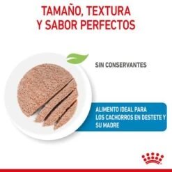 Royal Canin Starter Mousse -Mascota Suministros Ventas rc spt wet startermousse can cv 2 es es 7