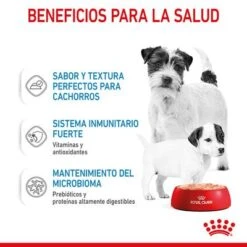 Royal Canin Starter Mousse -Mascota Suministros Ventas rc spt wet startermousse can cv 3 es es 8