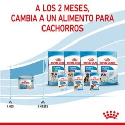Royal Canin Starter Mousse -Mascota Suministros Ventas rc spt wet startermousse can cv 8 es es 3