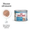 Royal Canin Starter Mousse