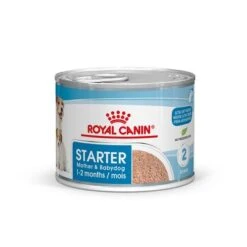 Royal Canin Starter Mousse -Mascota Suministros Ventas rc spt wet startermousse can mv 3 es es 6