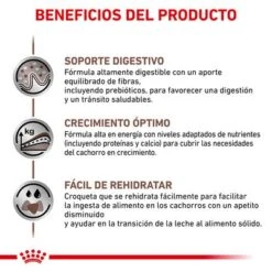 Royal Canin Veterinary Gastro Intestinal Puppy Pienso Para Perros -Mascota Suministros Ventas rc vet dry doggastropu cv eretailkit 4 es es 6