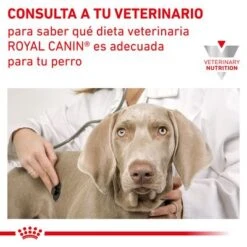 Royal Canin Veterinary Canine Renal Mousse 13 Royal Canin Veterinary Canine Renal Mousse -Mascota Suministros Ventas rc vet wet dogrenalloaf410 cv eretailkit 7 es es 7