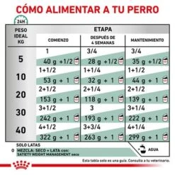 Royal Canin Veterinary Canine Satiety Weight Management Mousse -Mascota Suministros Ventas rc vet wet dogsatietywm410g cv eretailkit 4 es es 0