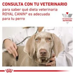 Royal Canin Veterinary Canine Urinary S/O En Salsa -Mascota Suministros Ventas rc vet wet dogurinarysocig cv eretailkit 6 es es 8