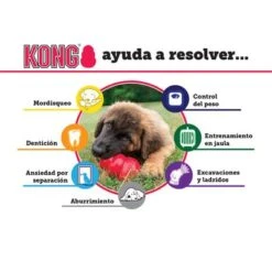 KONG Extreme Juguete Negro Para Perros -Mascota Suministros Ventas solutions es 4