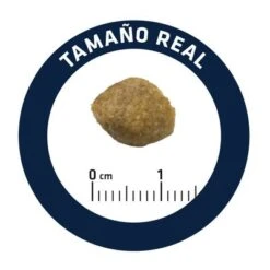 Advance Urinary Veterinary Diets Pienso Para Perros -Mascota Suministros Ventas u02 surfnjixoddfuefsveldvuxbluvtlmpwzw 1521557342964 6