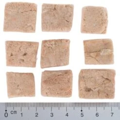 Pack Ahorro 4 X Wolf Of Wilderness RAW Snacks Liofilizados Premium 23 Pack Ahorro 4 X Wolf Of Wilderness RAW Snacks Liofilizados Premium -Mascota Suministros Ventas wow fd snack blue river cubes with ruler 4