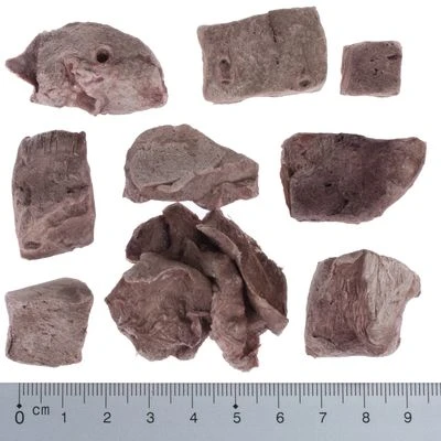 Pack Ahorro 4 X Wolf Of Wilderness RAW Snacks Liofilizados Premium 16 Pack Ahorro 4 X Wolf Of Wilderness RAW Snacks Liofilizados Premium - Imagen 14