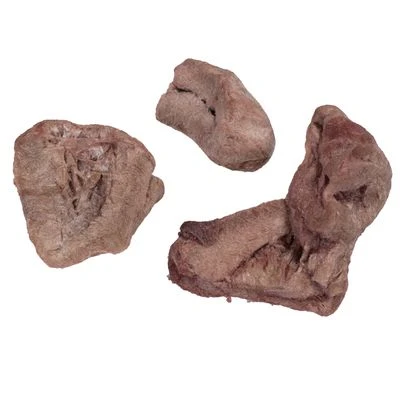 Pack Ahorro 4 X Wolf Of Wilderness RAW Snacks Liofilizados Premium 18 Pack Ahorro 4 X Wolf Of Wilderness RAW Snacks Liofilizados Premium - Imagen 16