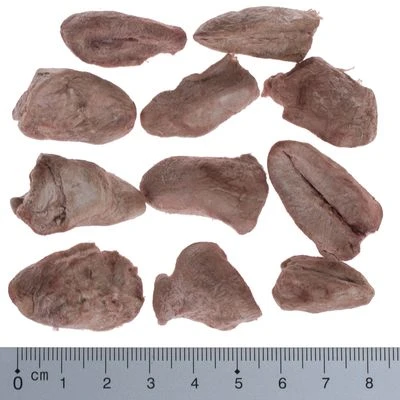 Pack Ahorro 4 X Wolf Of Wilderness RAW Snacks Liofilizados Premium 19 Pack Ahorro 4 X Wolf Of Wilderness RAW Snacks Liofilizados Premium - Imagen 17