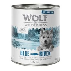 Wolf Of Wilderness Free Range Junior 6 X 800 G -Mascota Suministros Ventas wow freerange junior blueriver 800g 1000x1000 1 3