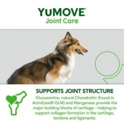 YuMOVE Cuidado Articular Para Perros Adultos 19 YuMOVE Cuidado Articular Para Perros Adultos -Mascota Suministros Ventas yumove joint care adult 300 7 5