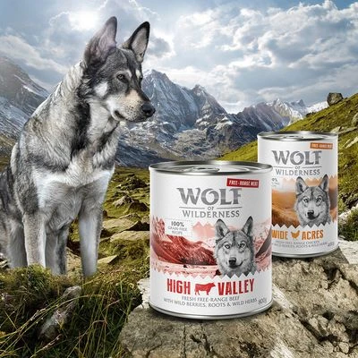 Wolf Of Wilderness Free Range 6 X 400 G 4 Wolf Of Wilderness Free Range 6 X 400 G - Imagen 2